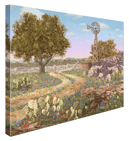 Wildflower Trail Canvas Print